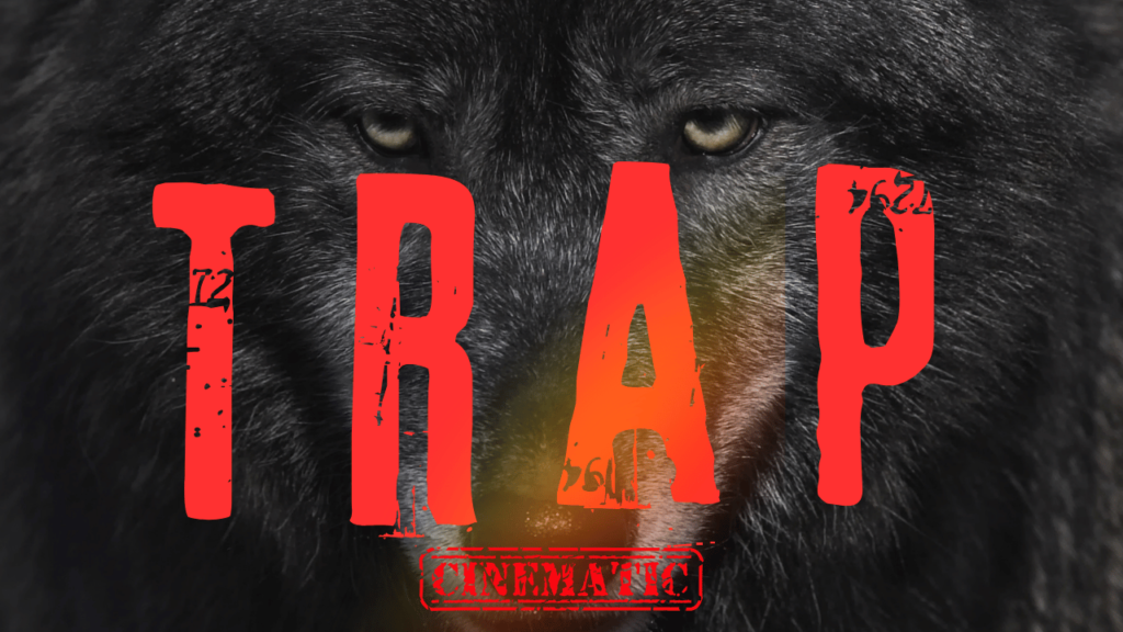 Trap (2024)